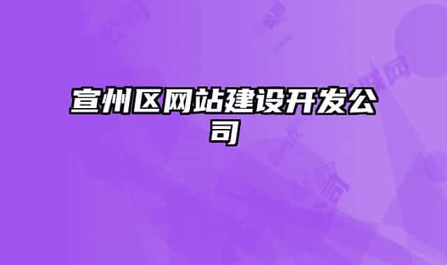 宣州區(qū)網(wǎng)站建設(shè)開發(fā)公司