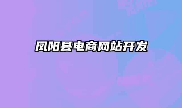 鳳陽(yáng)縣電商網(wǎng)站開(kāi)發(fā)