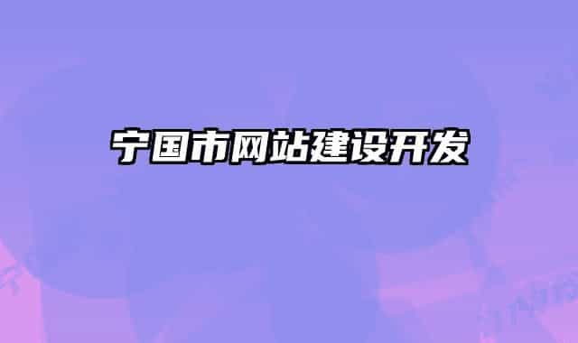 寧國(guó)市網(wǎng)站建設(shè)開(kāi)發(fā)