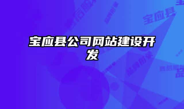 寶應(yīng)縣公司網(wǎng)站建設(shè)開發(fā)