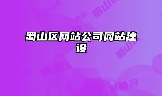 蜀山區(qū)網(wǎng)站公司網(wǎng)站建設